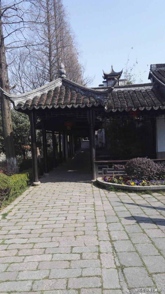 救援卡通老虎